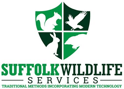 Suffolk Wildlife Services